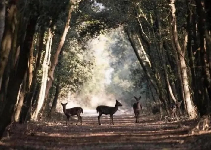 Vento In Poppa דירה *