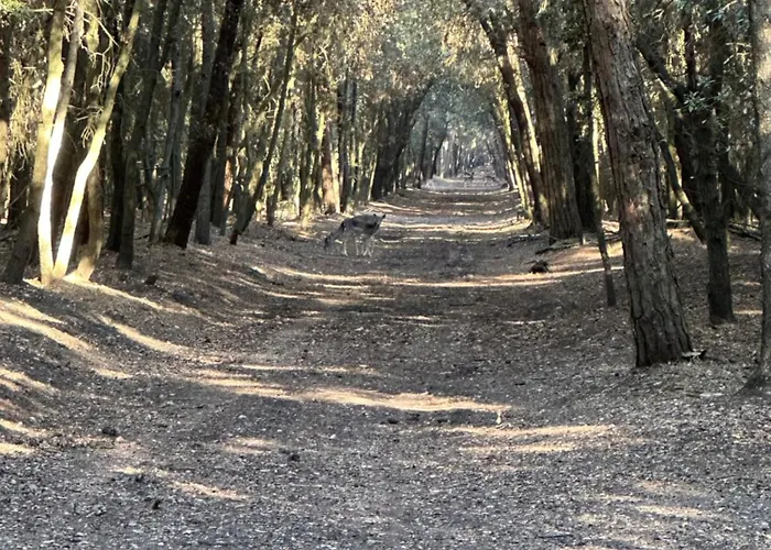 Vento In Poppa דירה